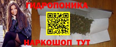 бошки Можга