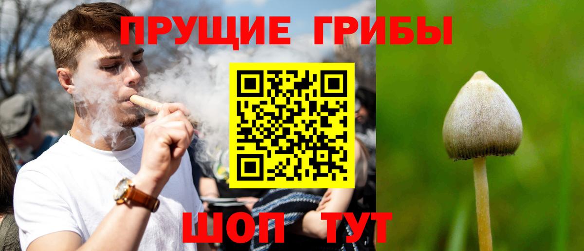 Псилоцибиновые грибы Cubensis  Псилоцибиновые грибы GOLDEN TEACHER  Янаул  Вход с VPN 